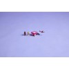 LEGO NINJAGO 71824 Sora's Dragon Spinjitzu Spinner LEGO NINJAGO 71824 Sora's Dragon Spinjitzu Spinner