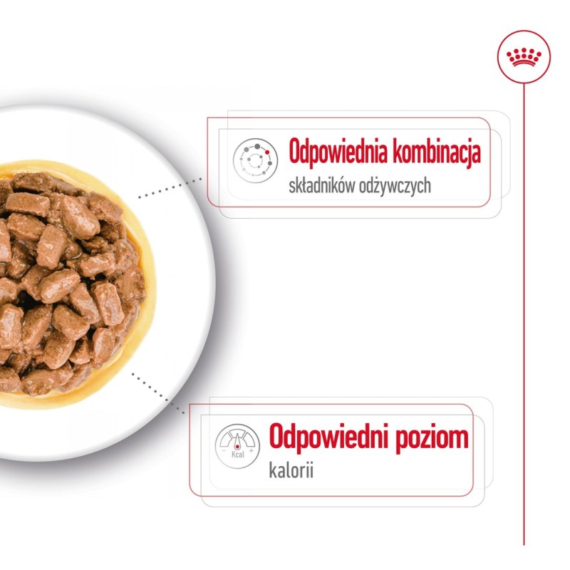 ROYAL CANIN Mini Ageing 12+ - wet dog food - 12 x 85g ROYAL CANIN Mini Ageing 12+ - wet dog food - 12 x 85g