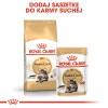 ROYAL CANIN FBN Maine Coon Adult dry cat food - 10kg