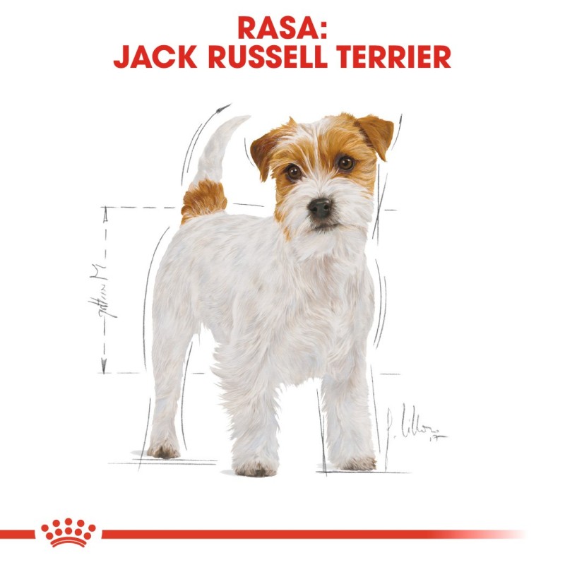 ROYAL CANIN Jack Russell Adult - Dry dog food - 7.5 kg ROYAL CANIN Jack Russell Adult - Dry dog food - 7.5 kg