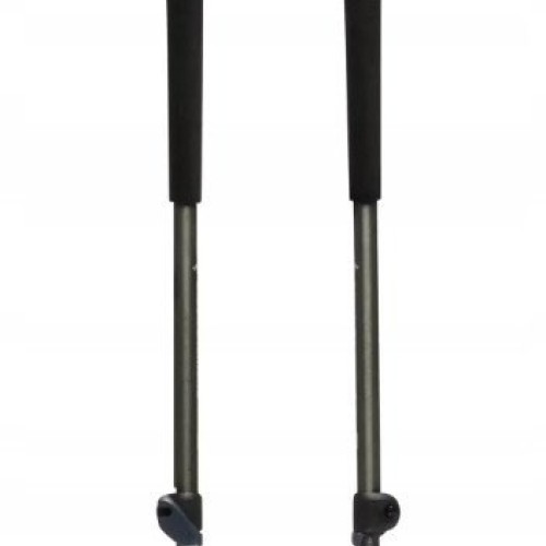 Kije trekkingowe Black Diamond Trail Trekking Poles Pine Smoke