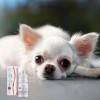 JM SANTE Vet Protector Ligo - eye drops for dogs and cats – 3 ml JM SANTE Vet Protector Ligo - eye drops for dogs and cats – 3 ml