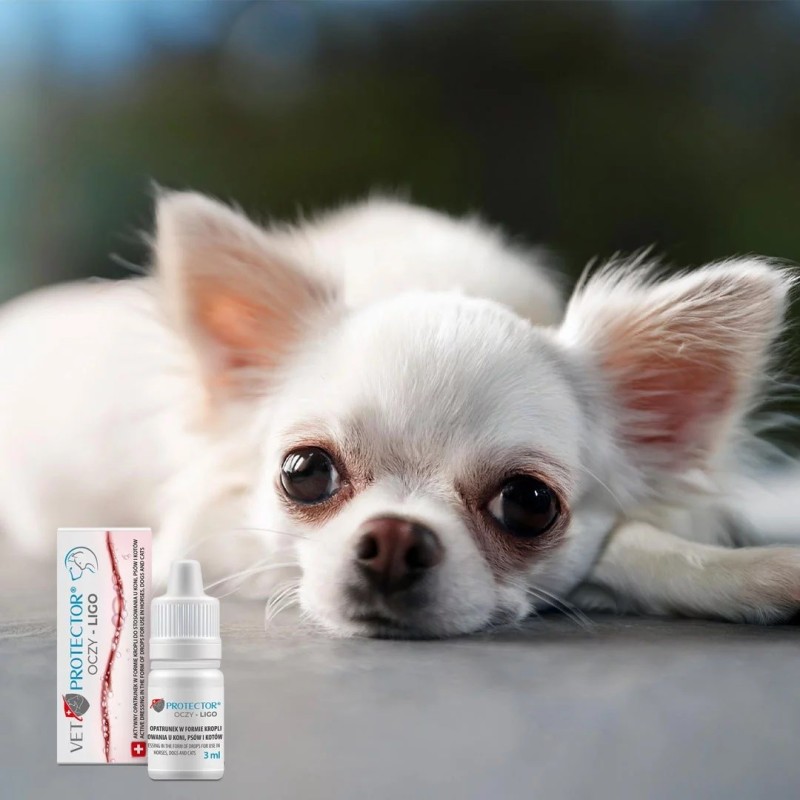 JM SANTE Vet Protector Ligo - eye drops for dogs and cats – 3 ml JM SANTE Vet Protector Ligo - eye drops for dogs and cats – 3 ml