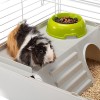 FERPLAST Cavie 80 - Cage - 77x42 cm FERPLAST Cavie 80 - Cage - 77x42 cm