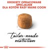 ROYAL CANIN FBN Maine Coon Adult dry cat food - 10kg
