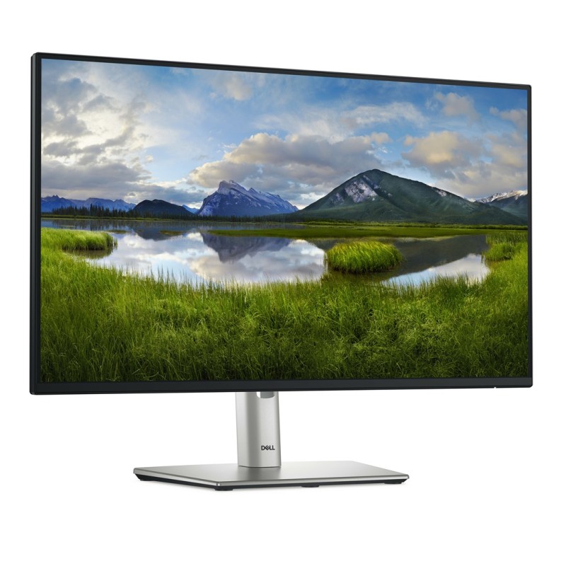 DELL P Series P2425HE computer monitor 61 cm (24 DELL P Series P2425HE computer monitor 61 cm (24