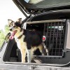 FURminator - Electric claw file for dogs and cats FURminator - Electric claw file for dogs and cats