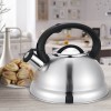 Non-electric kettle MAESTRO MR-1313