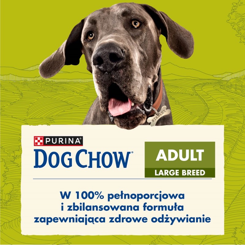 Purina DOG CHOW Large Breed Adult 14 kg Turkey Purina DOG CHOW Large Breed Adult 14 kg Turkey