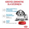 ROYAL CANIN SHN Medium Puppy in sauce - wet puppy food - 10x140g ROYAL CANIN SHN Medium Puppy in sauce - wet puppy food - 10x140g