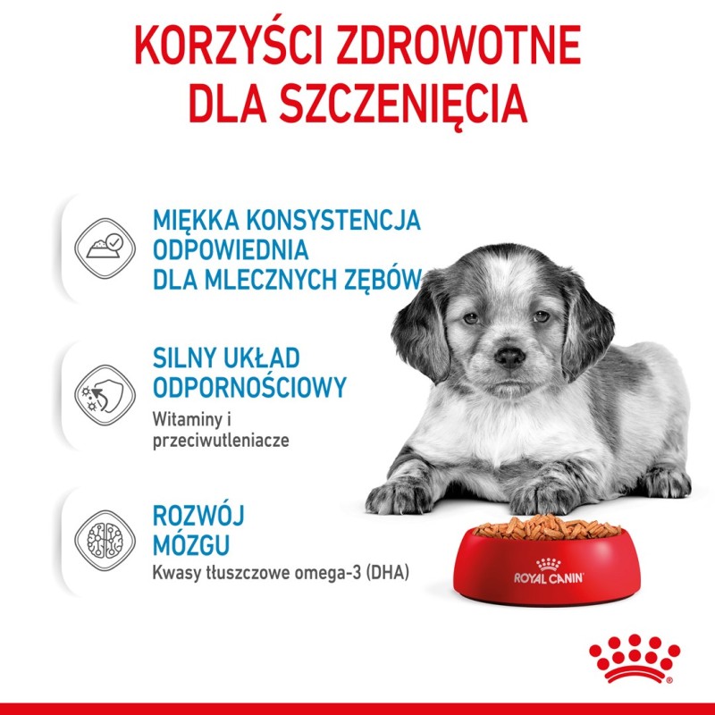 ROYAL CANIN SHN Medium Puppy in sauce - wet puppy food - 10x140g ROYAL CANIN SHN Medium Puppy in sauce - wet puppy food - 10x140g