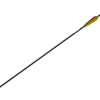Carbon Fiber Arrow 30