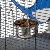 Farmina Pet Food BOAR AND APPLE ADULT MEDIUM & MAXI