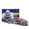 PREVITAL Chicken and veal in gravy - wet cat food - 4 x 100g PREVITAL Chicken and veal in gravy - wet cat food - 4 x 100g