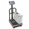 PLATFORM SCALE WAGI TARCZYN WT-180N 150kg PLATFORM SCALE WAGI TARCZYN WT-180N 150kg