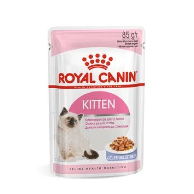 Royal Canin FHN Kitten Instinctive in sauce - wet food for kittens - 12x85g