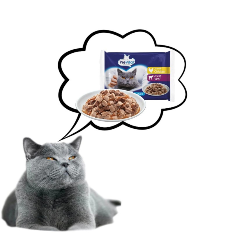 PREVITAL Chicken and veal in gravy - wet cat food - 4 x 100g PREVITAL Chicken and veal in gravy - wet cat food - 4 x 100g