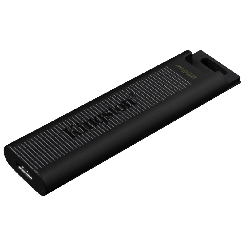 Kingston Technology DataTraveler 256GB Max 1000R/900W USB 3.2 Gen 2