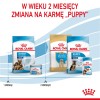 SYTA MICHA Great sausages with rabbit, carrot and dandelion - dog treat - 100g SYTA MICHA Great sausages with rabbit, carrot and dandelion - dog treat - 100g