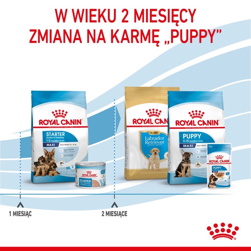 SYTA MICHA Great sausages with rabbit, carrot and dandelion - dog treat - 100g SYTA MICHA Great sausages with rabbit, carrot and dandelion - dog treat - 100g