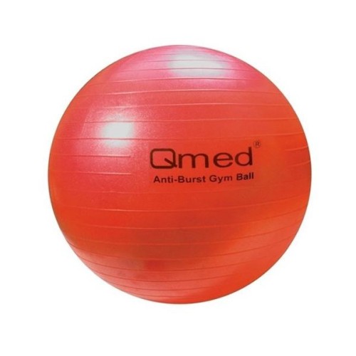 ABS rehabilitation ball with pump 55cm