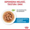 TASTE OF THE WILD Pine Forest - dry dog food - 5,6 kg TASTE OF THE WILD Pine Forest - dry dog food - 5,6 kg