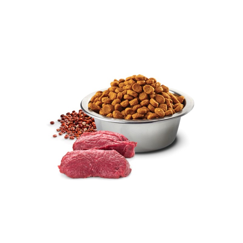 FARMINA N&D Quinoa Dog Skin&Coat Venison&Coconut Adult Medium&Maxi - dry dog food - 7 kg FARMINA N&D Quinoa Dog Skin&Coat Venison&Coconut Adult Medium&Maxi - dry dog food - 7 kg