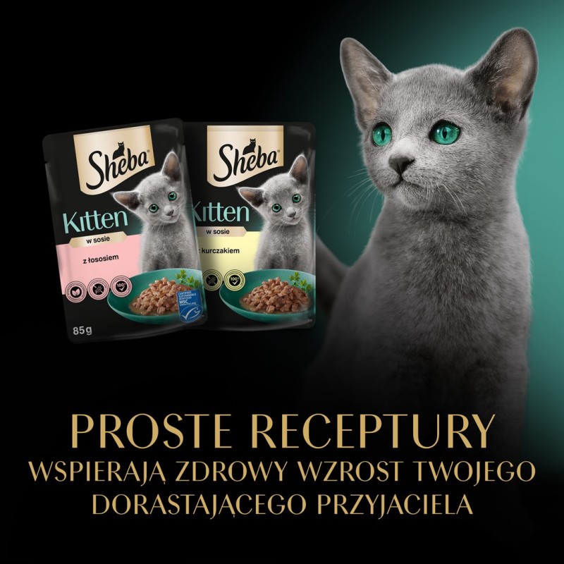 SHEBA Kitten Selection of Flavors in Sauce - wet cat food - 40x85 g SHEBA Kitten Selection of Flavors in Sauce - wet cat food - 40x85 g