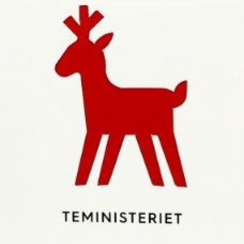 Christmas Sencha Spice loose leaf green tea 100g - Teministeriet