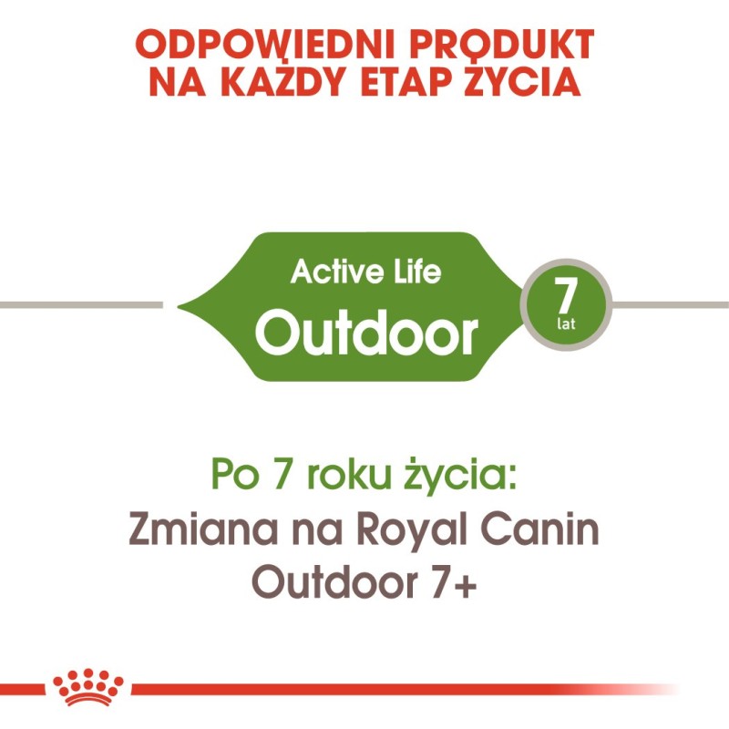 Royal Canin Active Life Outdoor cats dry food 4 kg Adult Poultry Royal Canin Active Life Outdoor cats dry food 4 kg Adult Poultry