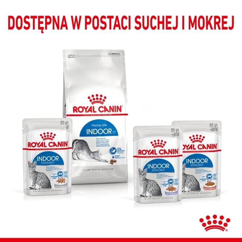ROYAL CANIN FHN Indoor jelly - wet food for adult cats - 12x85g ROYAL CANIN FHN Indoor jelly - wet food for adult cats - 12x85g