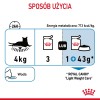 ROYAL CANIN FCN Light Weight Care in jelly - wet food for adult cats - 12x85g