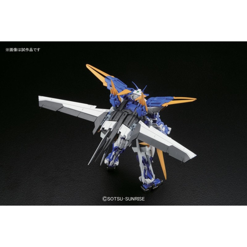 MG 1/100 GUNDAM ASTRAY BLUE FRAME D MG 1/100 GUNDAM ASTRAY BLUE FRAME D