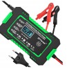 RJ Tianye RJ-C 120501A 12V, 6A battery charger