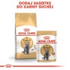 Royal Canin British Shorthair Adult cats dry food 4 kg Royal Canin British Shorthair Adult cats dry food 4 kg