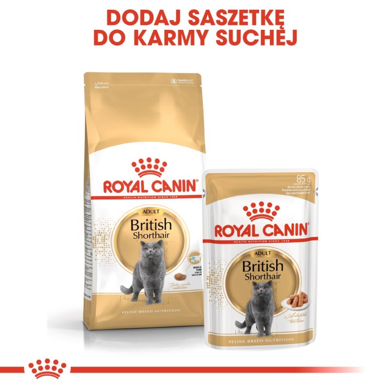 Royal Canin British Shorthair Adult cats dry food 4 kg Royal Canin British Shorthair Adult cats dry food 4 kg