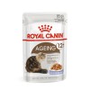 TASTE OF THE WILD Sierra Mountain - dry dog food - 12,2 kg