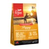 ORIJEN Puppy - dry dog food - 2kg ORIJEN Puppy - dry dog food - 2kg