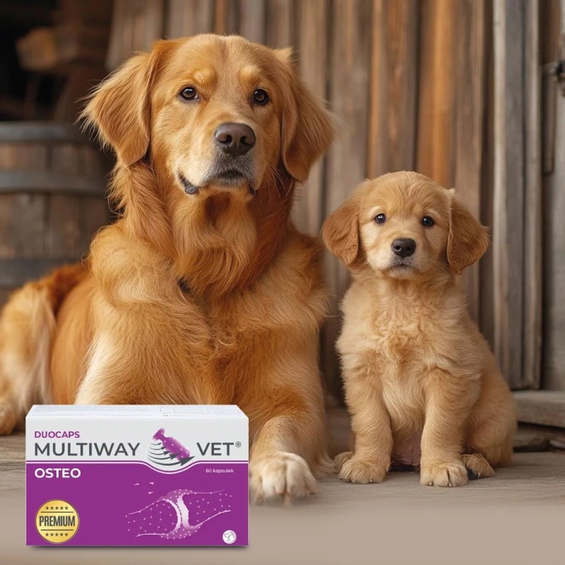 JM SANTE Multiway Vet Duocaps Osteo - twist-off capsules for joints for dogs and cats – 60 pcs JM SANTE Multiway Vet Duocaps Osteo - twist-off capsules for joints for dogs and cats – 60 pcs