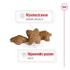 ROYAL CANIN Adult Mini S - dry dog food - 2kg ROYAL CANIN Adult Mini S - dry dog food - 2kg