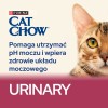 Purina Cat Chow Special Care Urinary Tract Health- cats dry food 15 kg Adult Chicken Purina Cat Chow Special Care Urinary Tract Health- cats dry food 15 kg Adult Chicken