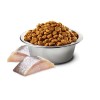 FARMINA N&D Spirulina Herring Adult Med/Maxi - dry dog food - 7 kg FARMINA N&D Spirulina Herring Adult Med/Maxi - dry dog food - 7 kg