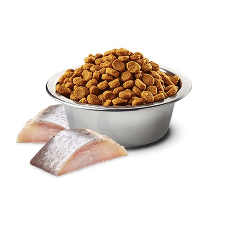 FARMINA N&D Spirulina Herring Adult Med/Maxi - dry dog food - 7 kg FARMINA N&D Spirulina Herring Adult Med/Maxi - dry dog food - 7 kg