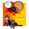 3COTY Chicken with krill For kittens - wet cat food - 80g