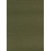 SEA TO SUMMIT CAMP PLUS S.I. SELF-INFLATING MAT.