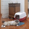 INABA Churu Chicken with Beef Recipe - cat treats - 4x14 g INABA Churu Chicken with Beef Recipe - cat treats - 4x14 g