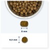 IAMS Advanced Nutrition Cat Adult Ocean Fish - dry cat food - 10 kg