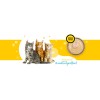 3Coty CHICKEN + GOOSE for Adult cats 180g 3Coty CHICKEN + GOOSE for Adult cats 180g