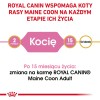 ROYAL CANIN Maine Coon Kitten - dry cat food - 2 kg ROYAL CANIN Maine Coon Kitten - dry cat food - 2 kg