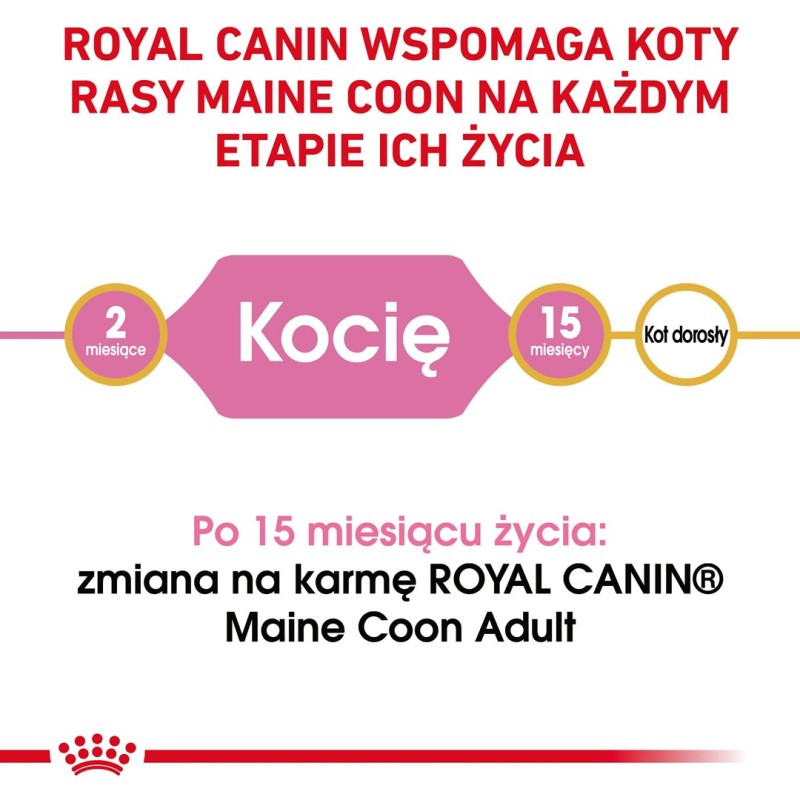 ROYAL CANIN Maine Coon Kitten - dry cat food - 2 kg ROYAL CANIN Maine Coon Kitten - dry cat food - 2 kg
